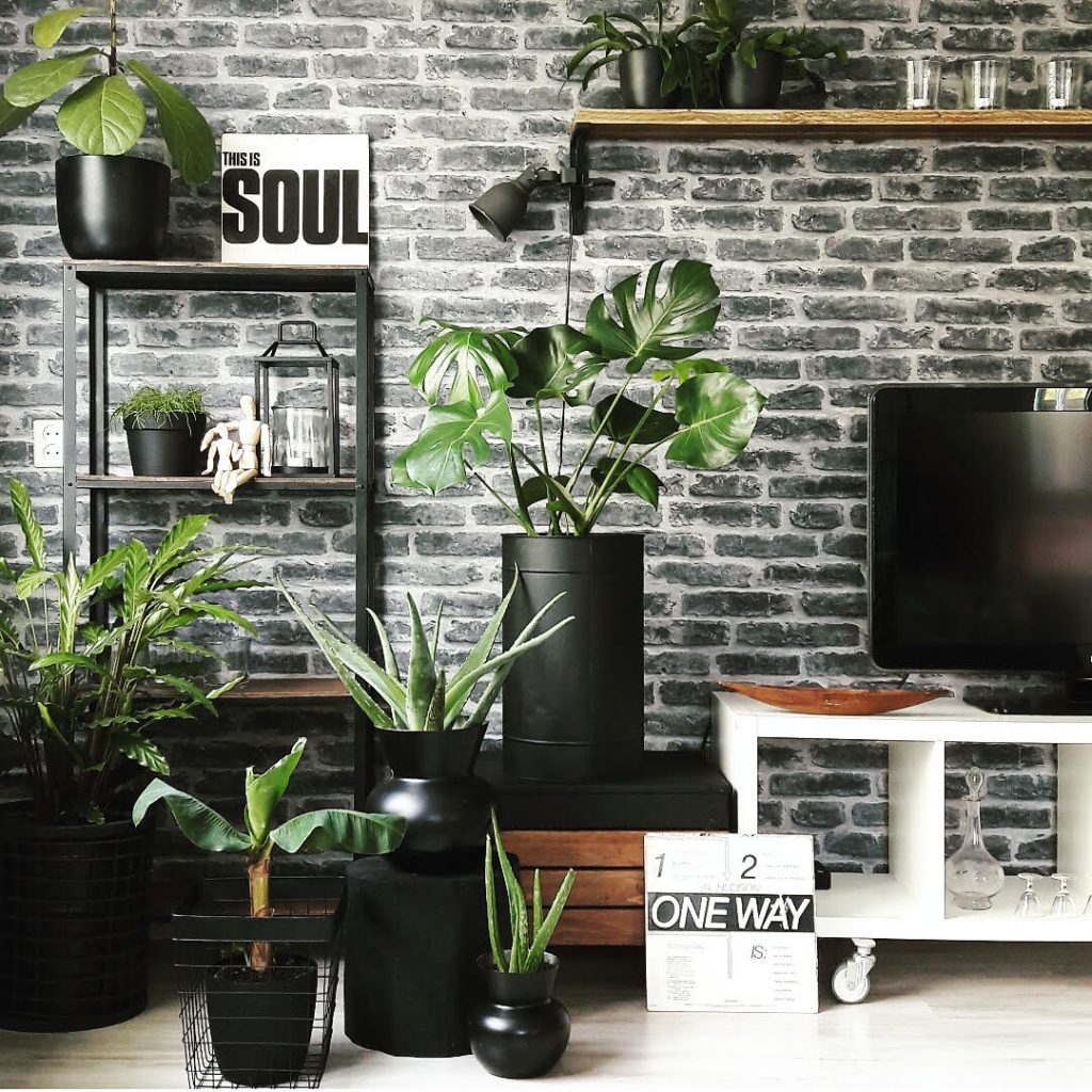 urban jungle interieur