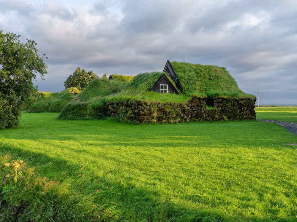 leven in de natuur