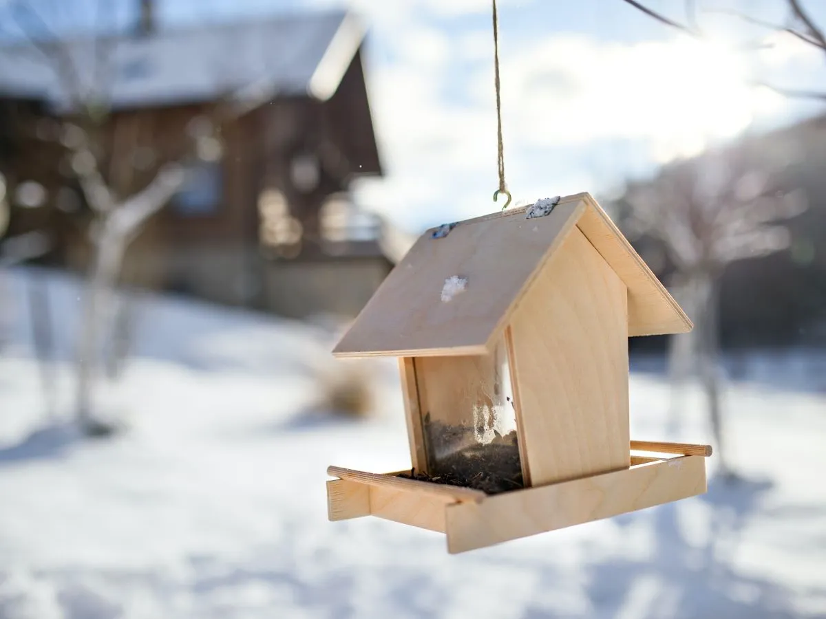 een vogelhuisje kiezen