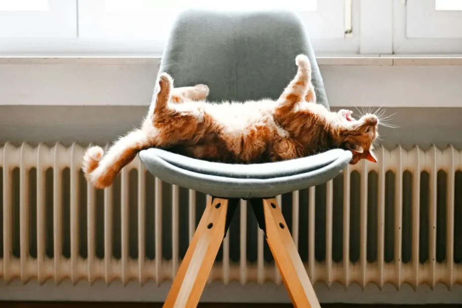 verwarming