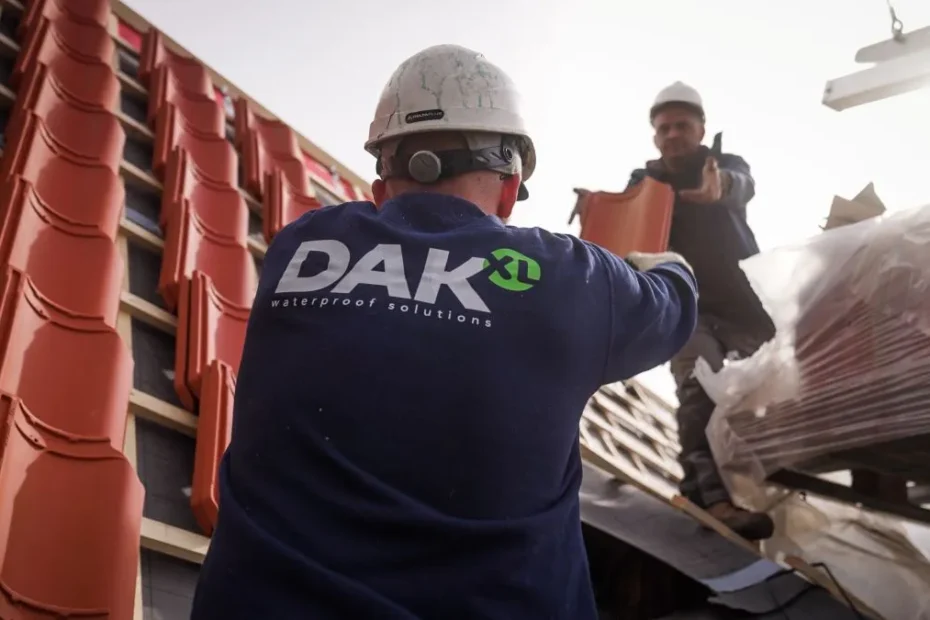 dakrenovatie bij pannendaken tips