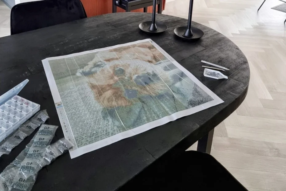 creatieve hobby´s diamond painting