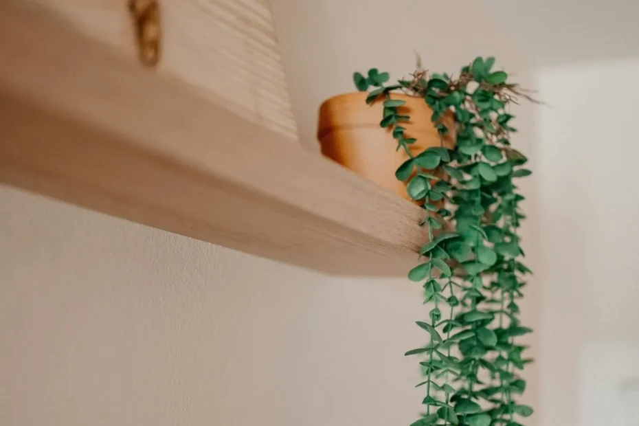een wandplank