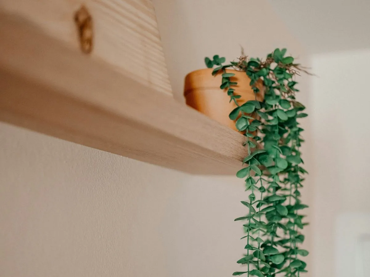 Wandplank ophangen: zo maak je er een echt stylingmoment van